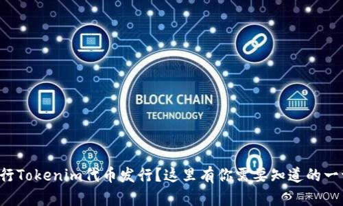 如何顺利进行Tokenim代币发行？这里有你需要知道的一切对话指南！