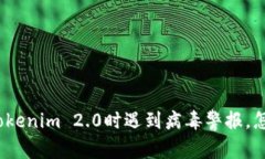 安装Tokenim 2.0时遇到病毒警报，怎么办？