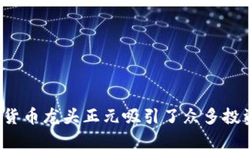 为什么数字货币龙头正元吸引了众多投资者的目光？