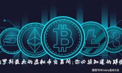 探索俄罗斯最大的虚拟币交易所：你必须知道的