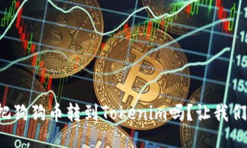 你知道怎么把狗狗币转到Tokenim吗？让我们一起来看看！