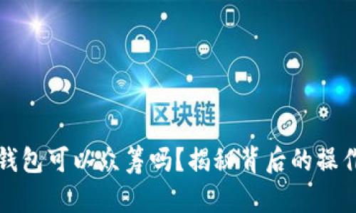 以太坊钱包可以众筹吗?揭秘背后的操作和风险