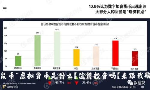 “老鼠币”虚拟货币是什么？值得投资吗？来跟我聊聊！