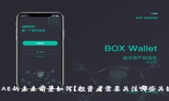 虚拟币AE的未来前景如何？投资者需要关注哪些关
