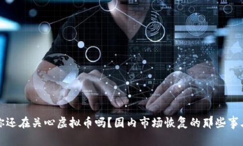 你还在关心虚拟币吗？国内市场恢复的那些事儿