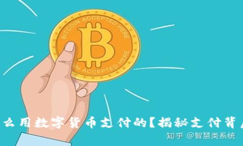 老外是怎么用数字货币支付的？揭秘支付背后的故事！