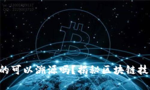 虚拟币真的可以溯源吗?揭秘区块链技术的秘密!
