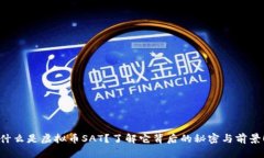 什么是虚拟币SAT？了解它背后的秘密与前景！