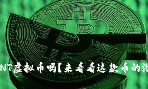 你了解过GNT虚拟币吗？来看看这款币的潜力和前景！
