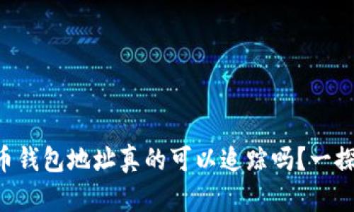 虚拟币钱包地址真的可以追踪吗?一探究竟!