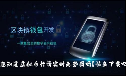 想知道虚拟币行情实时走势图吗?快来下载吧!