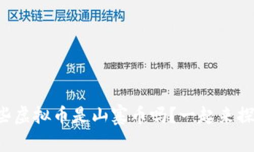 你知道哪些虚拟币是山寨币吗?一起来探讨一下吧!