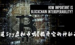 你知道Spy虚拟币吗？揭开它的神秘面纱！