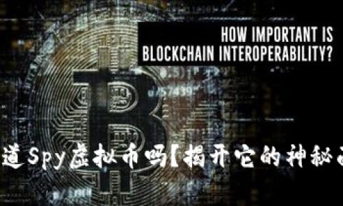 你知道Spy虚拟币吗?揭开它的神秘面纱!