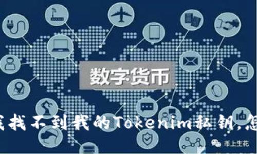 code“我找不到我的Tokenim私钥,怎么办?”