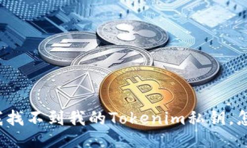 code“我找不到我的Tokenim私钥,怎么办?”