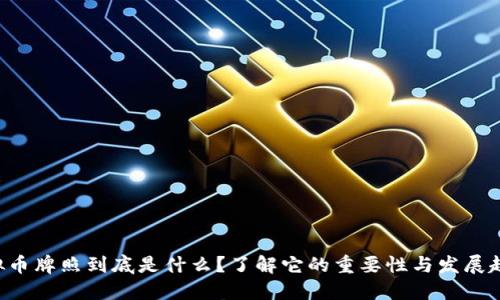 虚拟币牌照到底是什么？了解它的重要性与发展趋势！