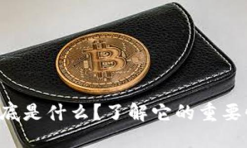 虚拟币牌照到底是什么？了解它的重要性与发展趋势！