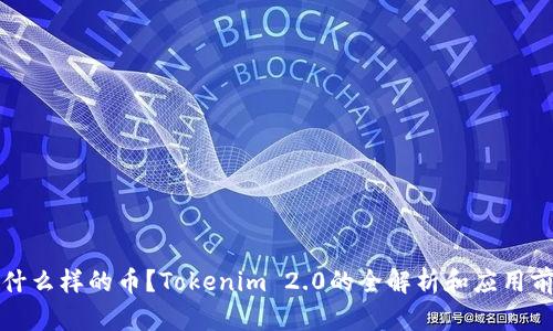 是什么样的币？Tokenim 2.0的全解析和应用前景