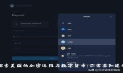 深入探索美国的加密运维与数字货币：你需要知