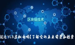 你听说过YLB虚拟币吗？了解它的未来前景和投资