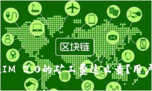 为什么TokenIM 2.0的矿工费这么贵？用户该如何应对？