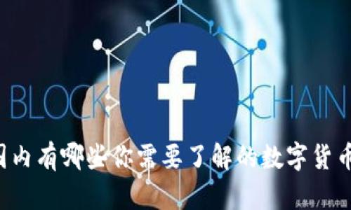 国内有哪些你需要了解的数字货币?