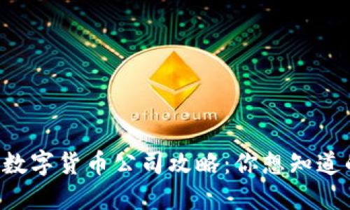 中国网络数字货币公司攻略:你想知道的都在这!