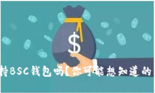 TokenIM支持BSC钱包吗?你可能想知道的答案在这里!