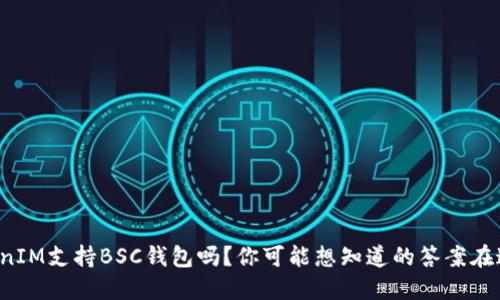 TokenIM支持BSC钱包吗?你可能想知道的答案在这里!