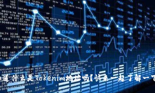 你知道什么是Tokenim地址吗?快来一起了解一下吧!