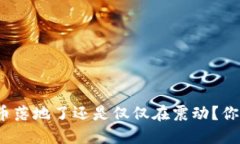数字货币落地了还是仅仅在震动？你怎么看？