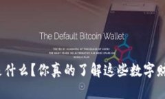 放虚拟币的钱包是什么？你真的了解这些数字财