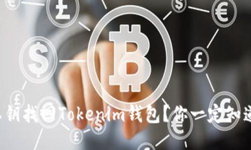 如何通过私钥找回Tokenim钱包?你一定知道这个方法!