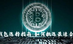 SC虚拟币钱包选择指南：如何挑选最适合你的钱包