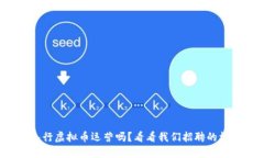 你想入行虚拟币运营吗？看看我们招聘的机会吧