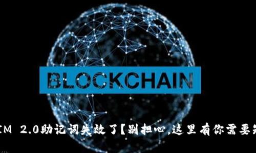 你的TokenIM 2.0助记词失效了？别担心，这里有你需要知道的一切！