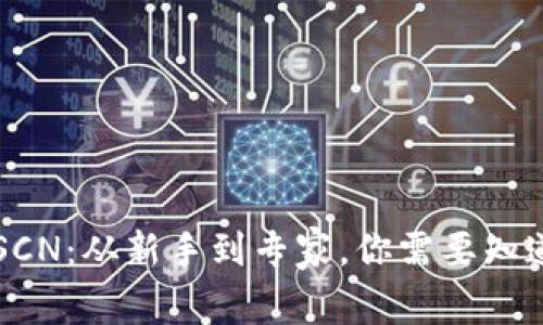 虚拟币SCN:从新手到专家,你需要知道的一切