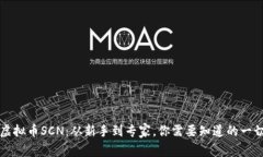 虚拟币SCN：从新手到专家，你需要知道的一切