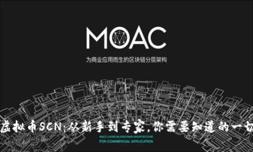 虚拟币SCN:从新手到专家,你需要知道的一切