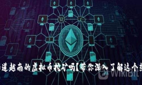 你知道越南的虚拟币挖矿吗?带你深入了解这个热潮!