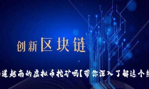 你知道越南的虚拟币挖矿吗?带你深入了解这个热潮!