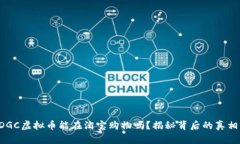 DGC虚拟币能在淘宝购物吗？揭秘背后的真相！