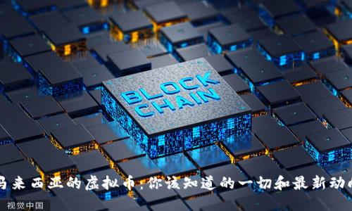 马来西亚的虚拟币：你该知道的一切和最新动向