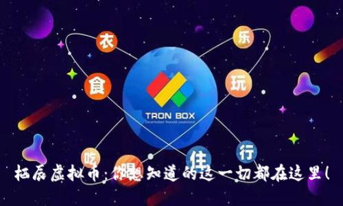 栖辰虚拟币:你想知道的这一切都在这里!