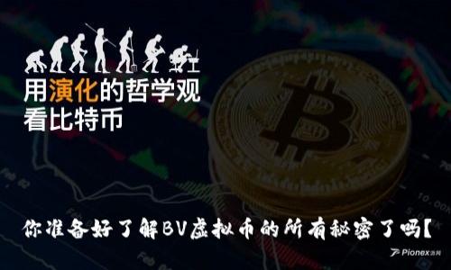 你准备好了解BV虚拟币的所有秘密了吗?