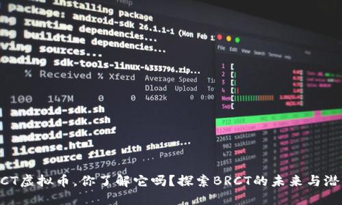 BRCT虚拟币，你了解它吗？探索BRCT的未来与潜力！