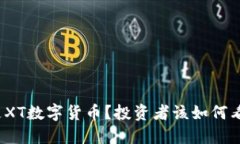 什么是XT数字货币？投资者该如何看待它？