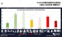使用GoPay虚拟币钱包安全吗？一起来聊聊！