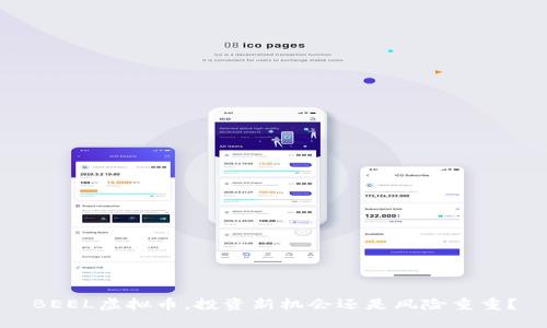 BEEL虚拟币，投资新机会还是风险重重？